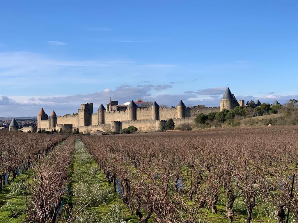 La Cour Carree - Chambres D'Hotes Carcassonne Luaran gambar